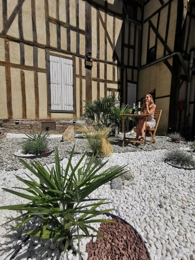 Les Cieux De La Cathedrale - Calme - Jardin - Wifi Troyes Exterior foto
